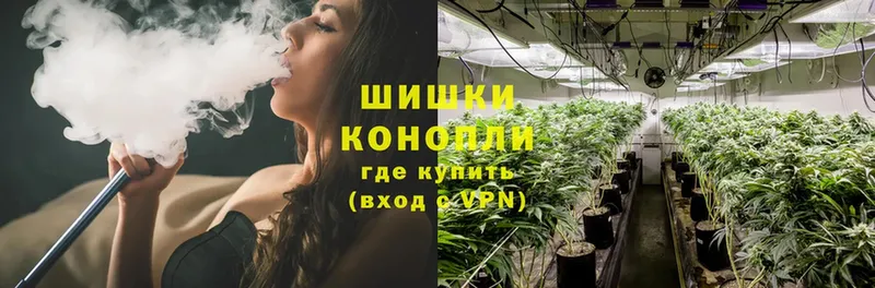 Купить наркотик аптеки Новокубанск Бошки Шишки  COCAIN  Псилоцибиновые грибы  Меф мяу мяу  ГАШИШ  A PVP 